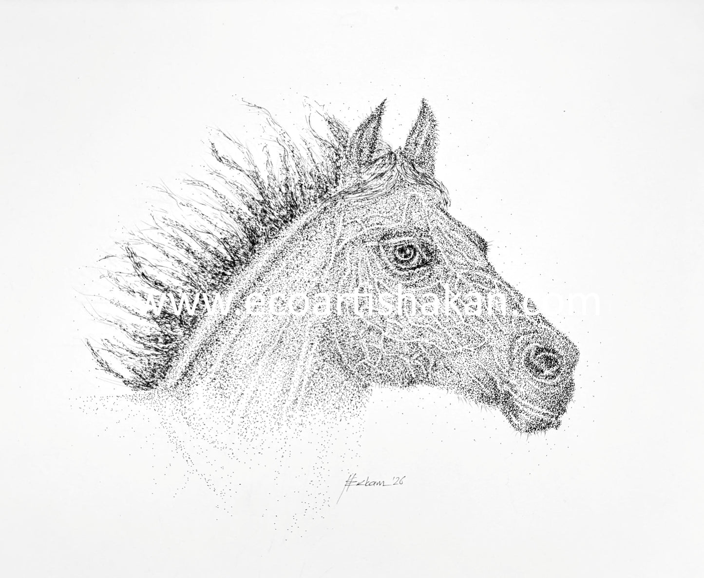 A Thousand Dots of Freedom