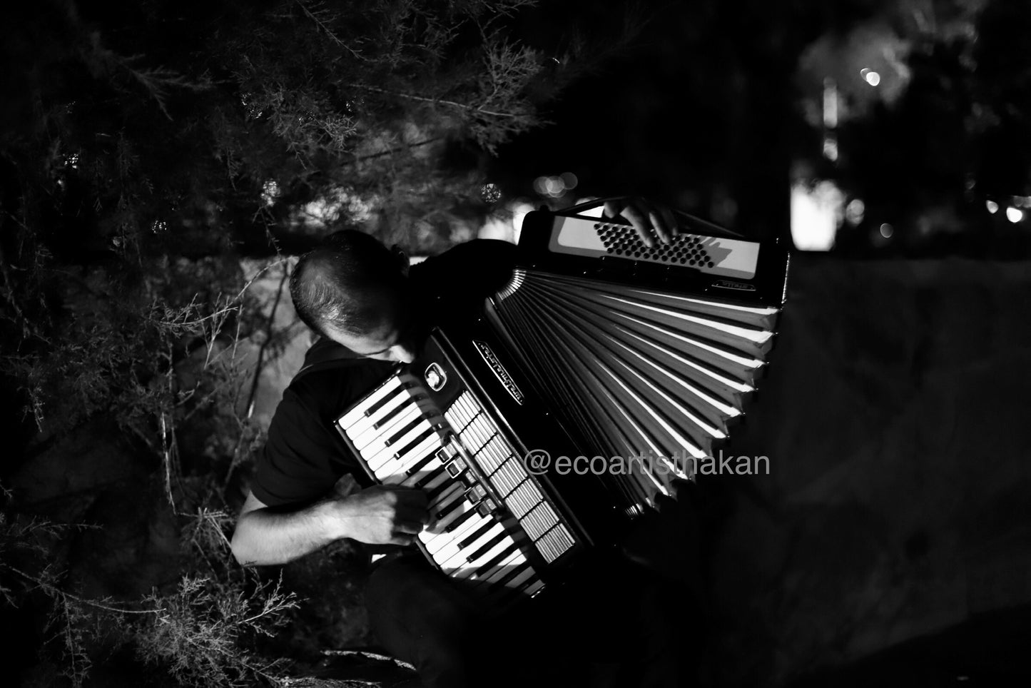 Accordion Player, Bodrum