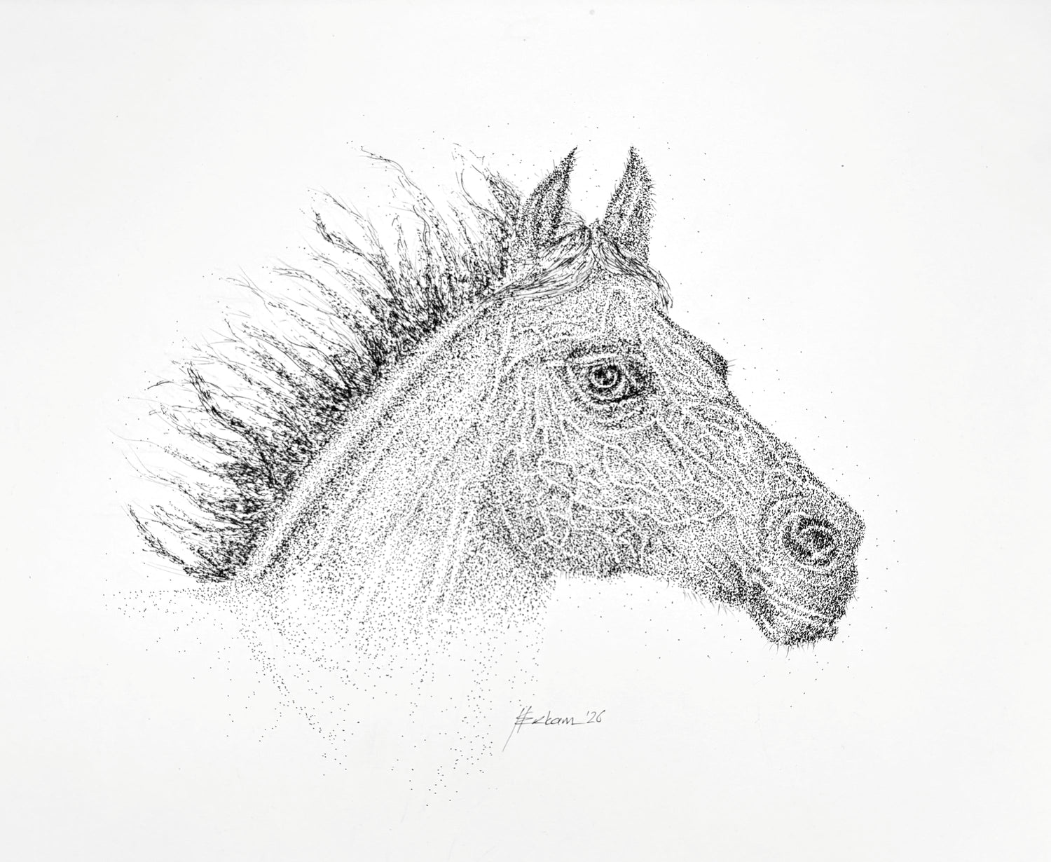 A Thousand Dots of Freedom