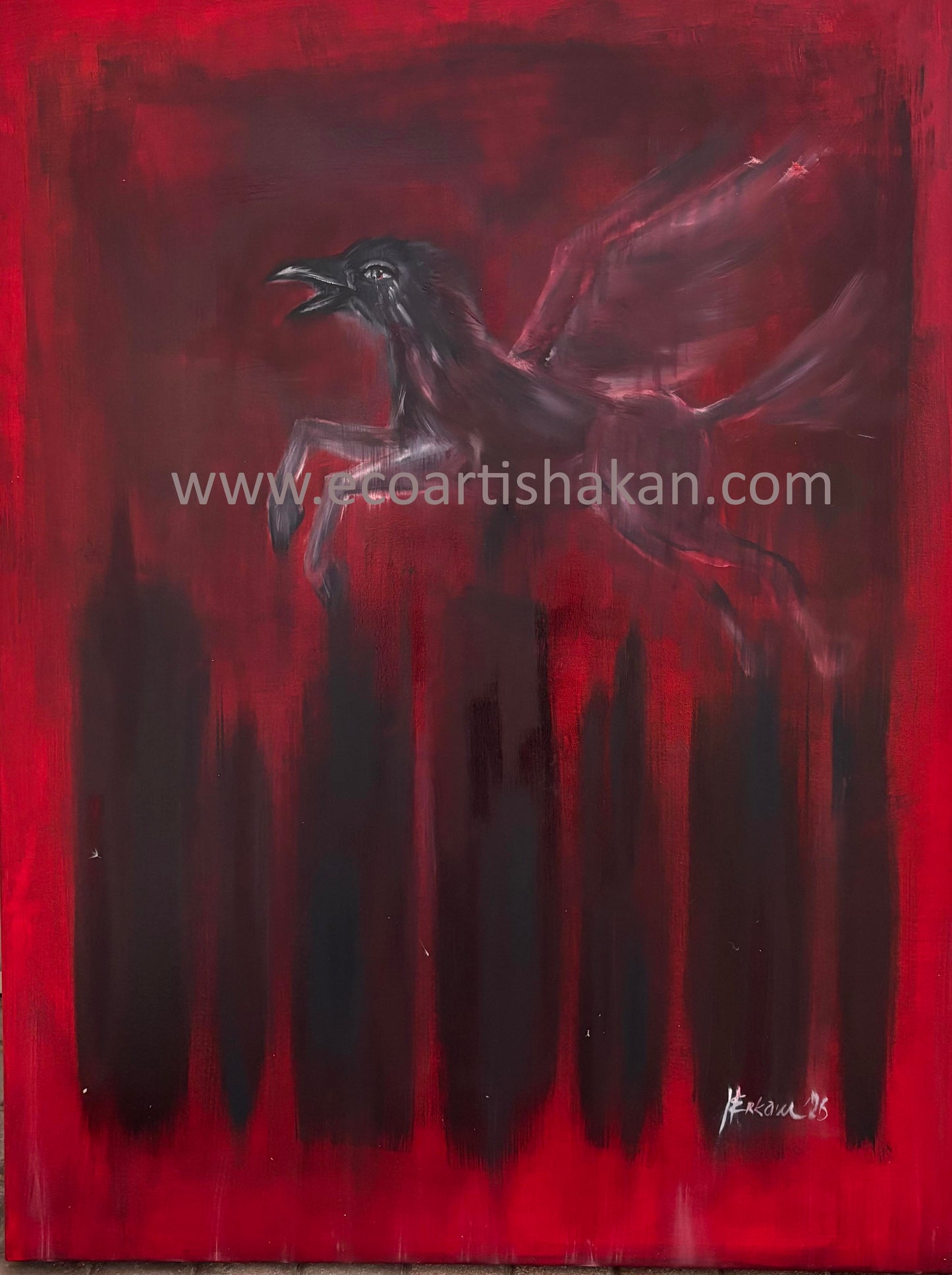 Corvus Equus ; Hope and Doubt"