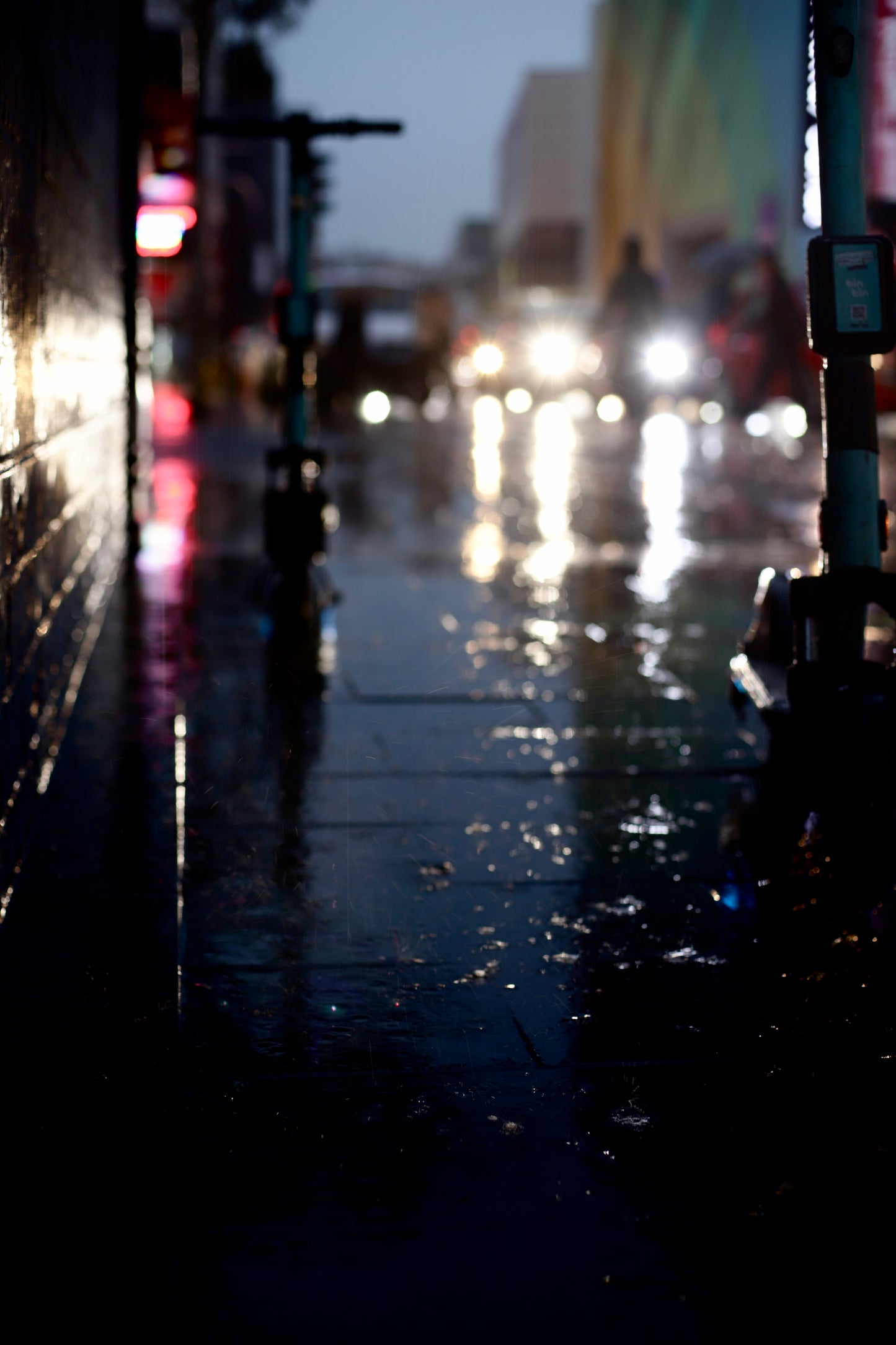 Smell the Rain